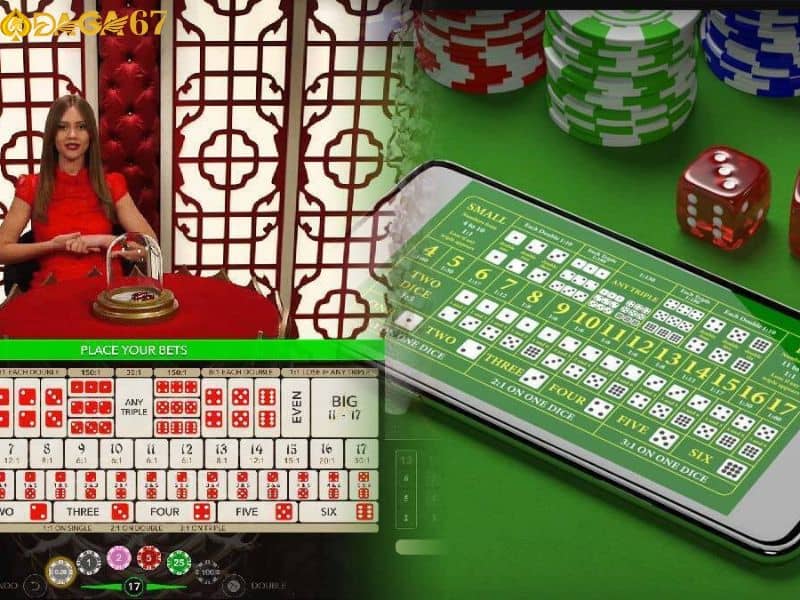 Tìm hiểu kỹ càng về lịch sử cược Tìm hiểu kỹ càng về lịch sử cược