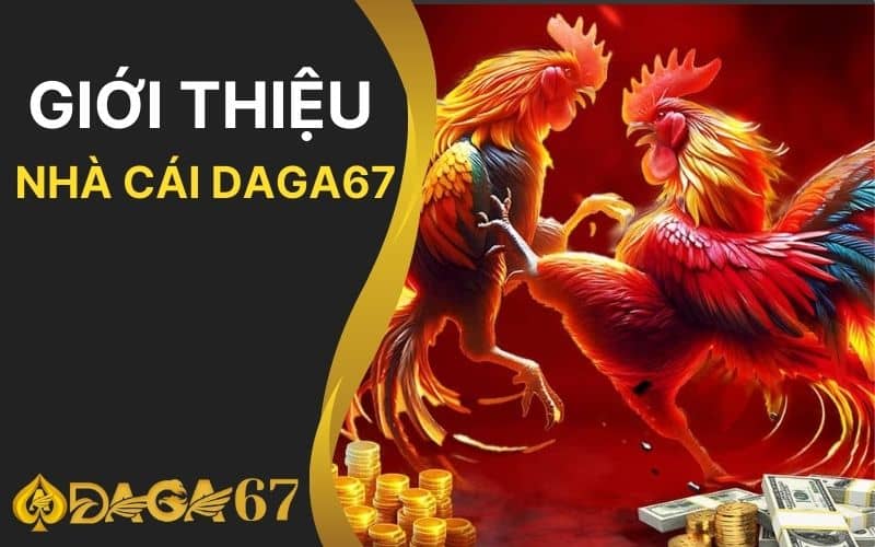 DAGA67 là trang đá gà Thomo uy tín nhất Việt Nam DAGA67 là trang đá gà Thomo uy tín nhất Việt Nam